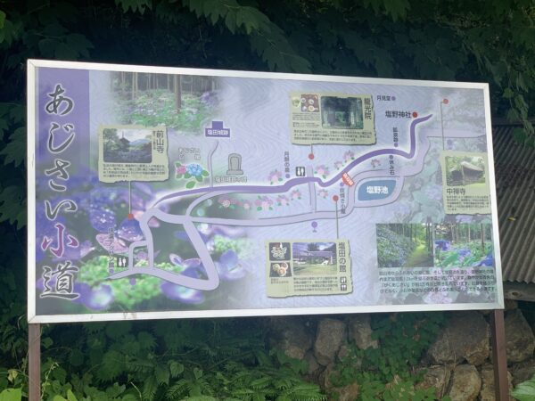 🌻上田市8月のイベント🌻 1.第40回 信州の鎌倉塩田平の夏祭り 日にち 8月12日 火時間 15：50〜21：30場所 中塩田小学校グランド ※画像なし 2.丸子花市 日にち 8月12日 火時間 18：45〜21：00場所 上丸子商店街 沢田・海戸・駅前・三反田3.第44回 武石夏