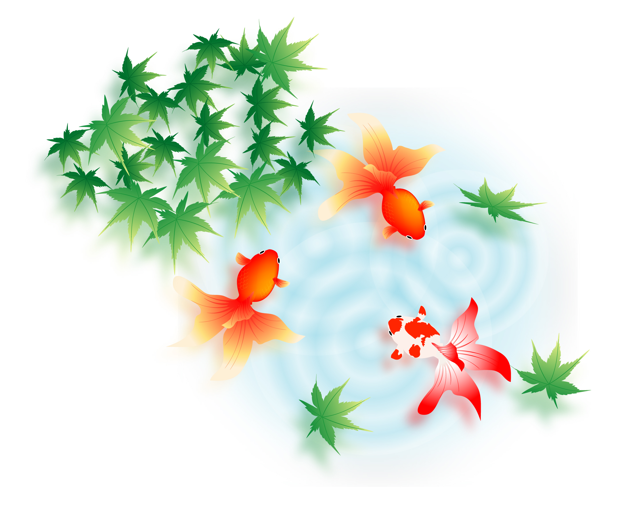 お中元お礼状イラスト無料イラスト・フリー素材なら「イラストAC」