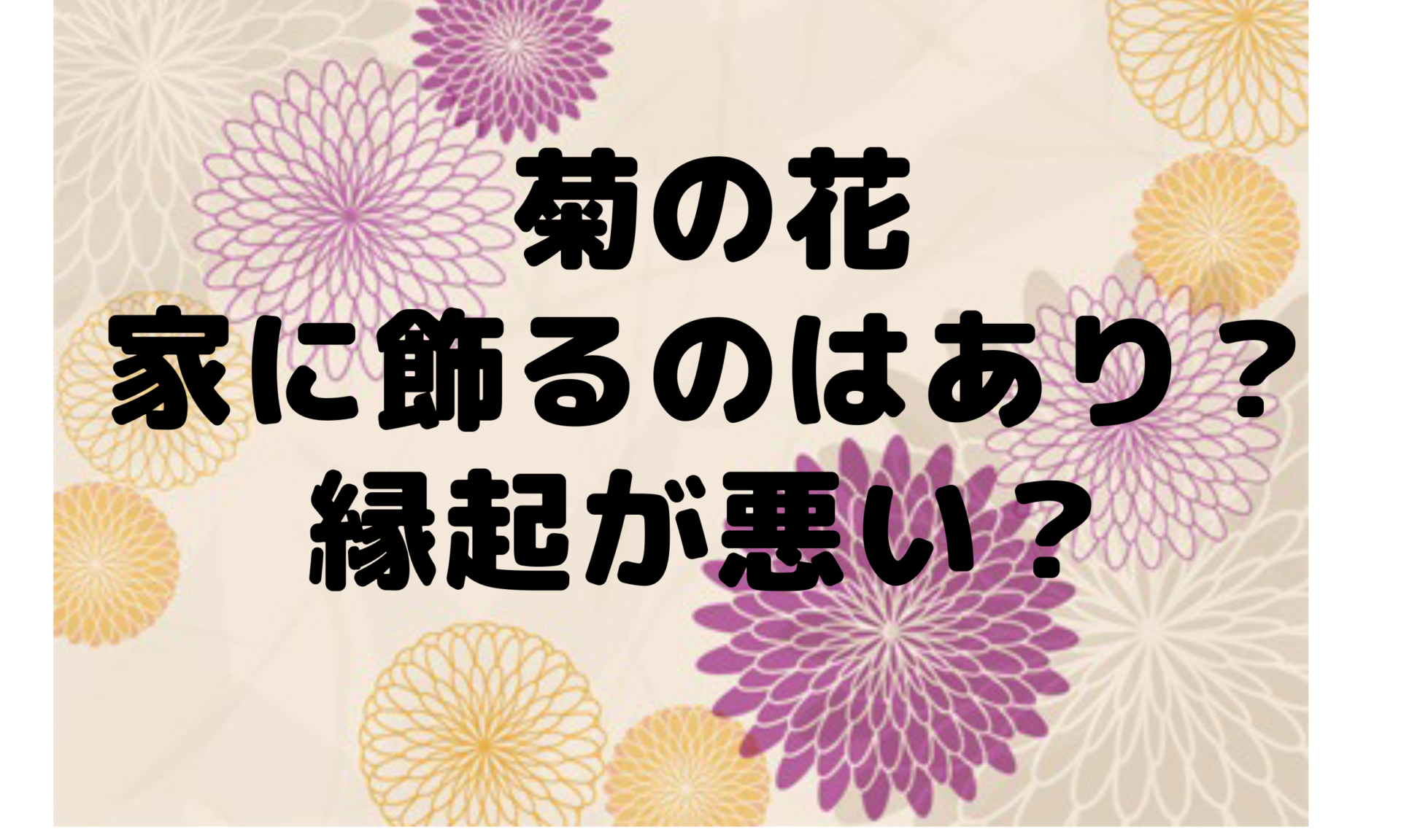 お正月は縁起物の花、菊 マム を！種類や長持ちさせるポイントLOVEGREEN ラブグリーン