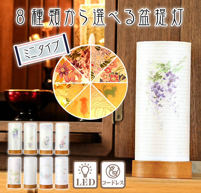 盆提灯 Cuore Luce S 秋桜クオレ・ルーチェモダン おしゃれ コンパクト ミニ 岐阜提灯ちょうちんSUZUTAMEONLINESHOP vogue