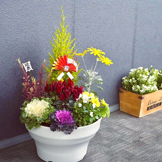 正月◎寄せ植え・鉢植えフラワーマーケット花由公式サイト