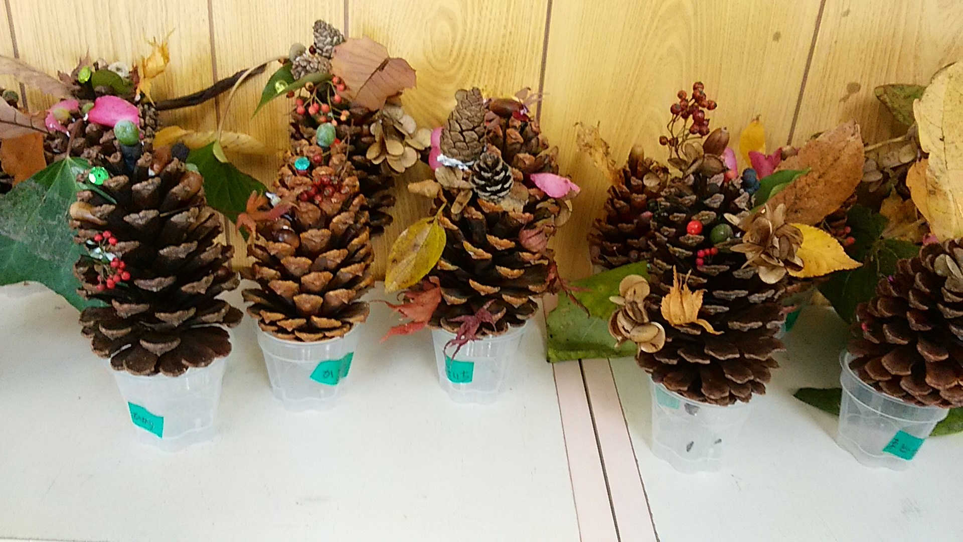 大きなまつぼっくりでクリスマスツリーをつくりました甲子園短期大学