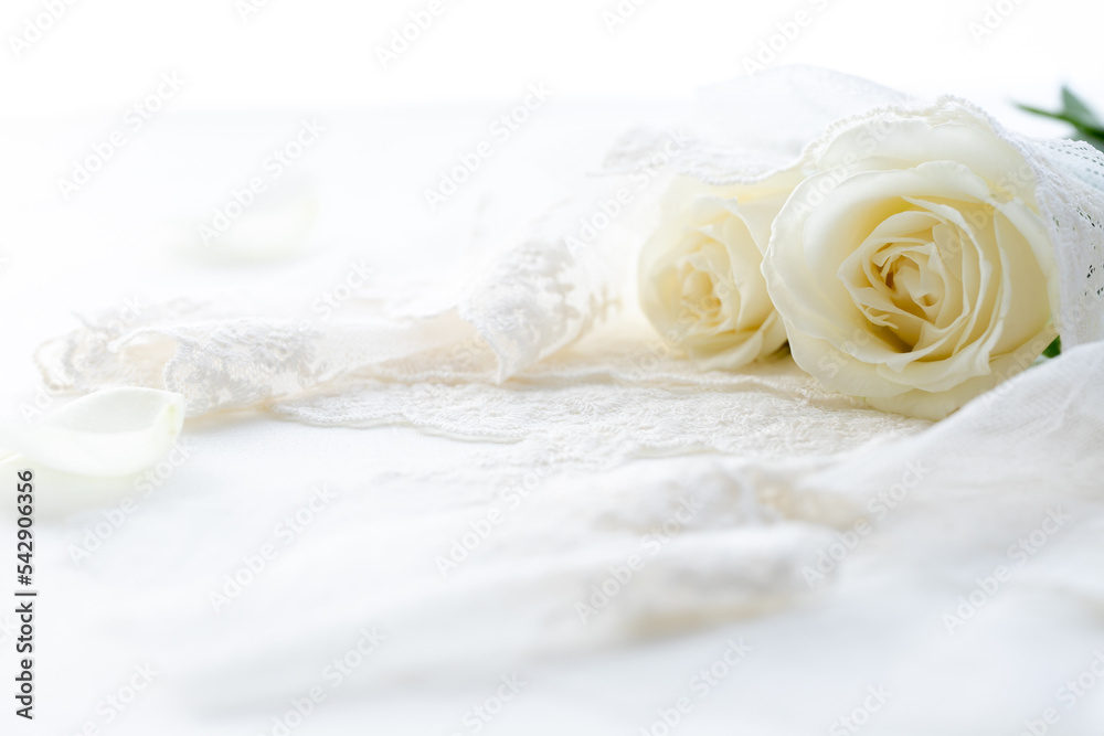 結婚式 フラワーシャワー 背景あり のイラスト素材65224923- PIXTA