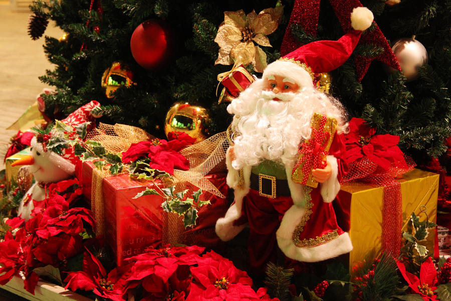 赤と緑でクリスマスコーデ🤶🏼🎄 3.5枚目はクリスマスツリーポーズ？のようです笑笑