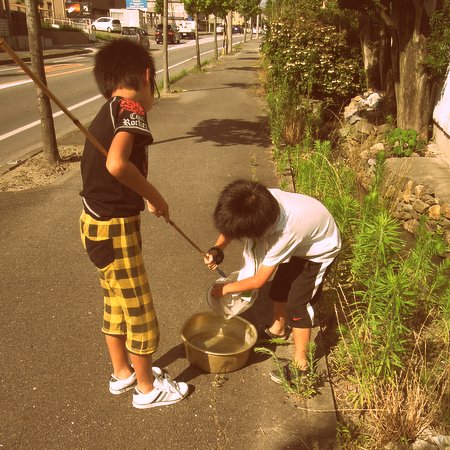 あの頃の夏休みはなぜ輝いていたのか - 昭和世代1500人が語る田舎の思い出趣味人マガジン趣味人倶楽部 しゅみーとくらぶ