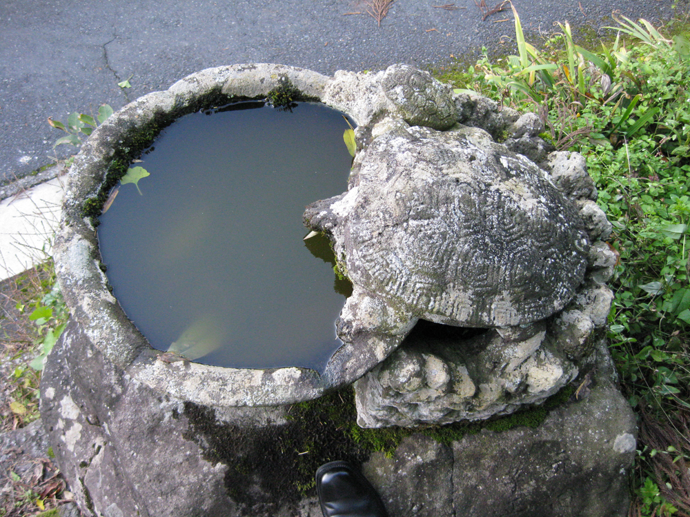 兵庫県 色鮮やかな花手水スポット3選！SNS映えの写真が撮れる神社・お寺を紹介♪兵庫県はりまエリア 姫路・加古川など の地域情報サイトTANOSUタノス