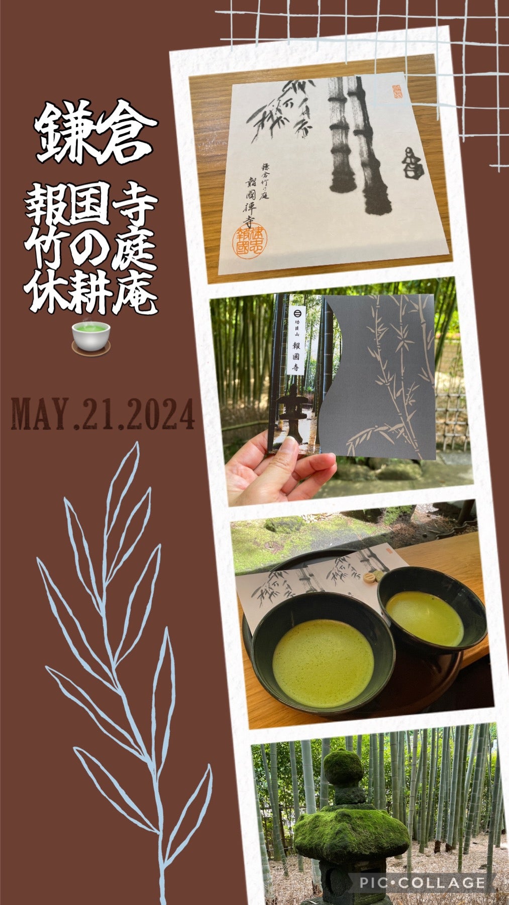 竹を見ながら抹茶で一服 ～報国寺～ - かまふち