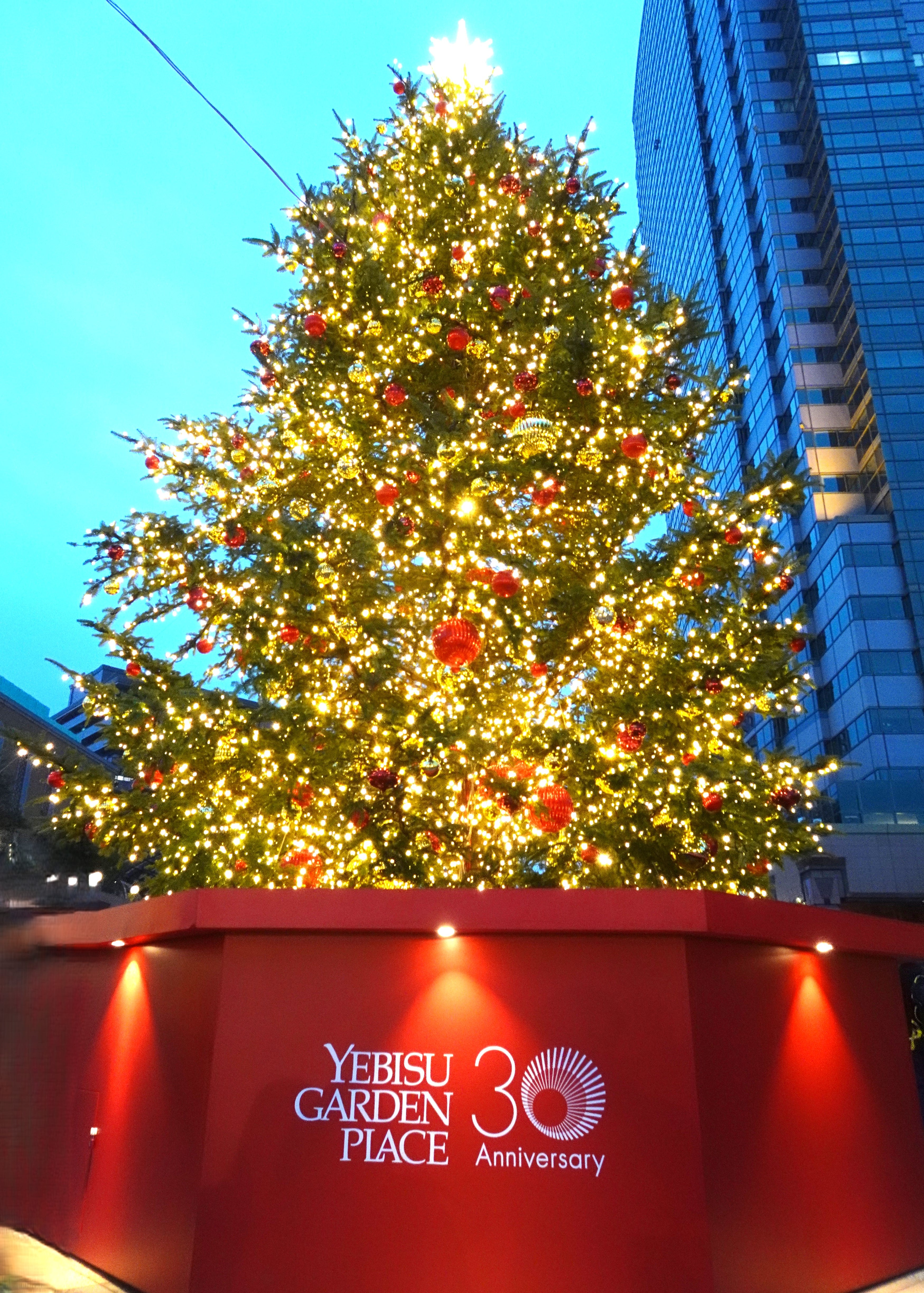 イルミネーション 恵比寿ガーデンプレイスのクリスマスツリーとバカラシャンデリア撮ってきたよ🙃Osmo Poket3📷🎄💡✨