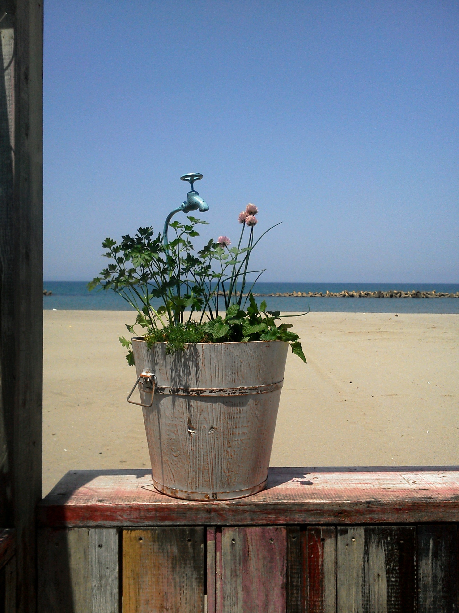 季節のしつらえ和食器通販織部 Online Store 公式