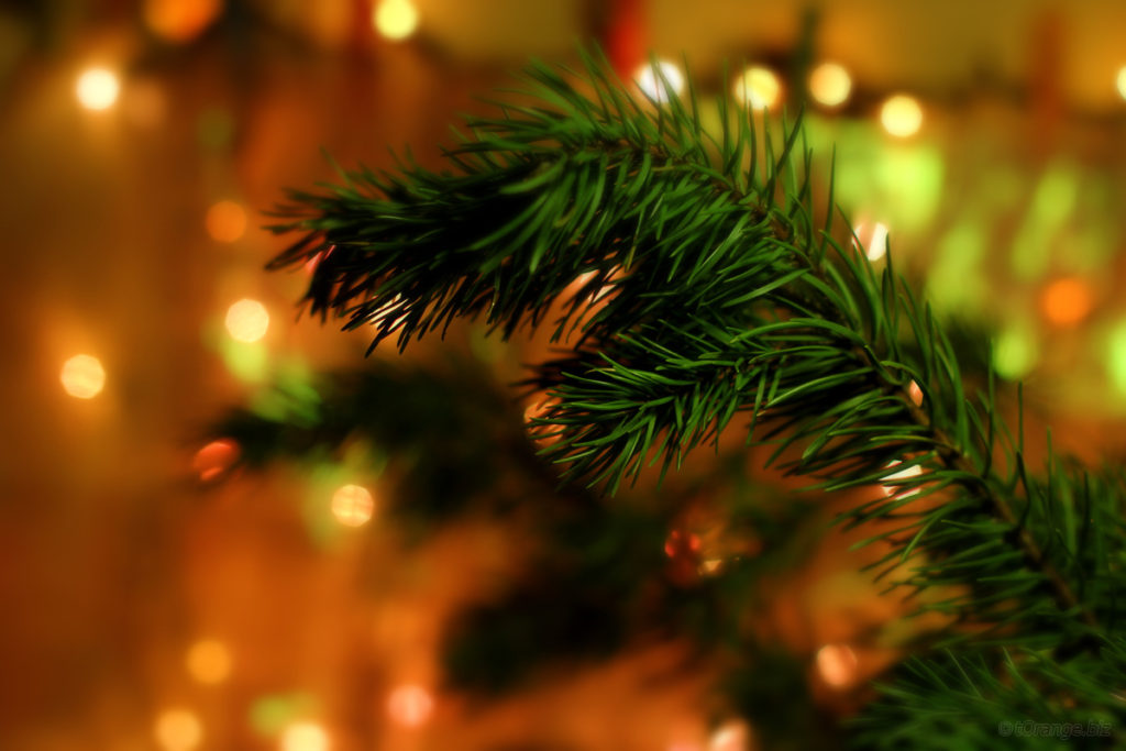 ミッドランド・クリスマス2024ミッドランド スクエア