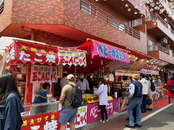 近所の桜まつり🌸 ちょうど満開で見頃だった✨ 綺麗な桜並木を歩いているとほっこりした。 屋台のお昼も美味しかった〜😋花見桜十四川桜まつり満開春春休みも残りわずか