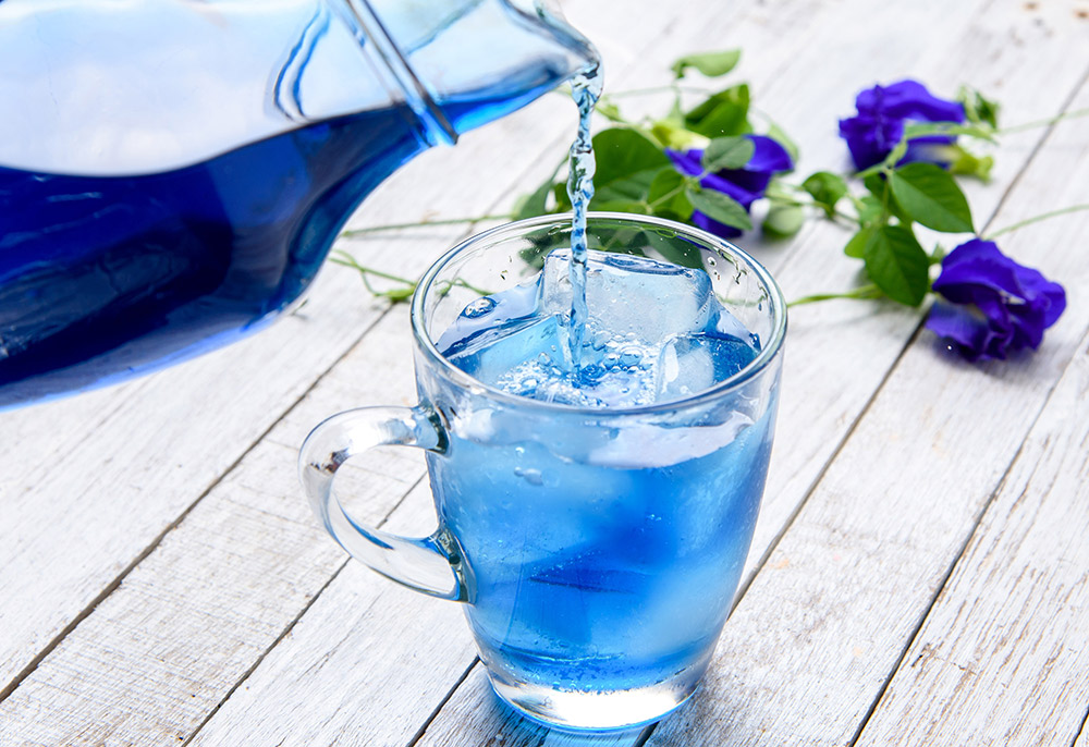 文化祭を彩る“インスタ映え”ドリンクの魅力！ - くらしの音色