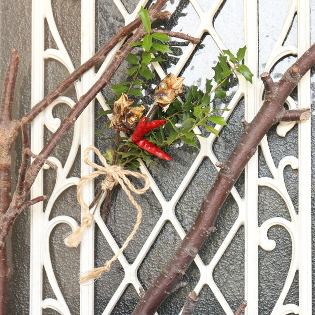 柊鰯KOA 九州オリーブ普及協会