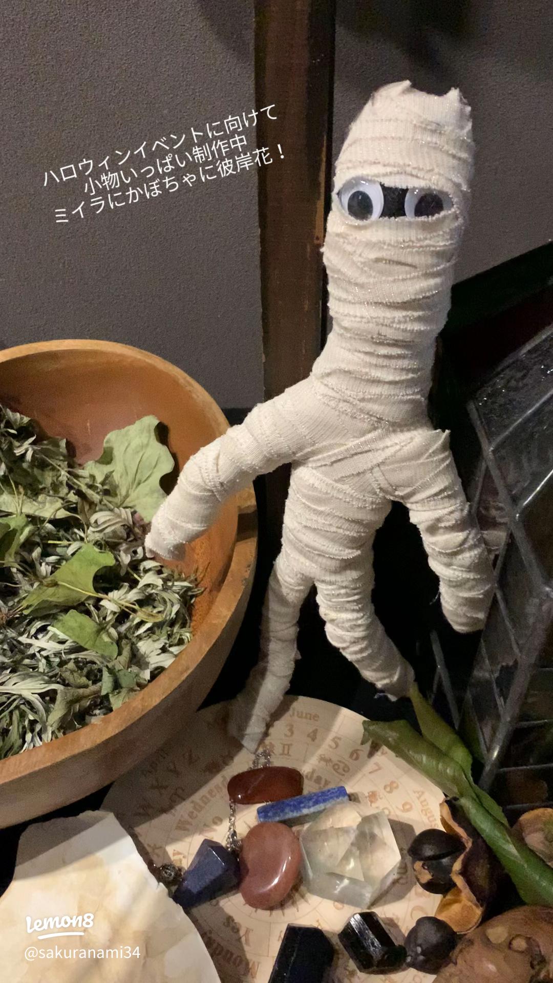 幼児用 ミイララップ コスチューム ハロウィン 衣装 子供 ミイラ 手作りTikTok