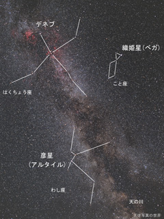 七夕 織姫と彦星 イラスト素材4406624- フォトライブラリ