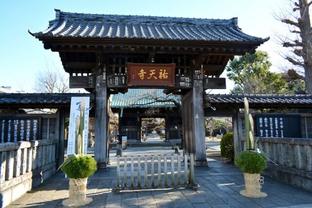 竹」の英語bamboo。竹林・たけのこ・竹串・竹ひご・竹刀などの表現を覚えよう Kimini英会話