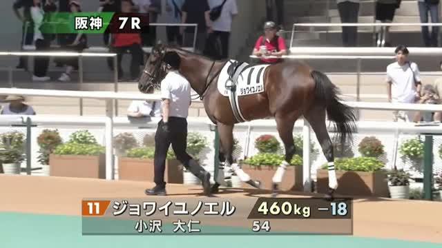 JOYEUX NOELお店情報ももち浜ストア番組公式サイト - テレビ西日本