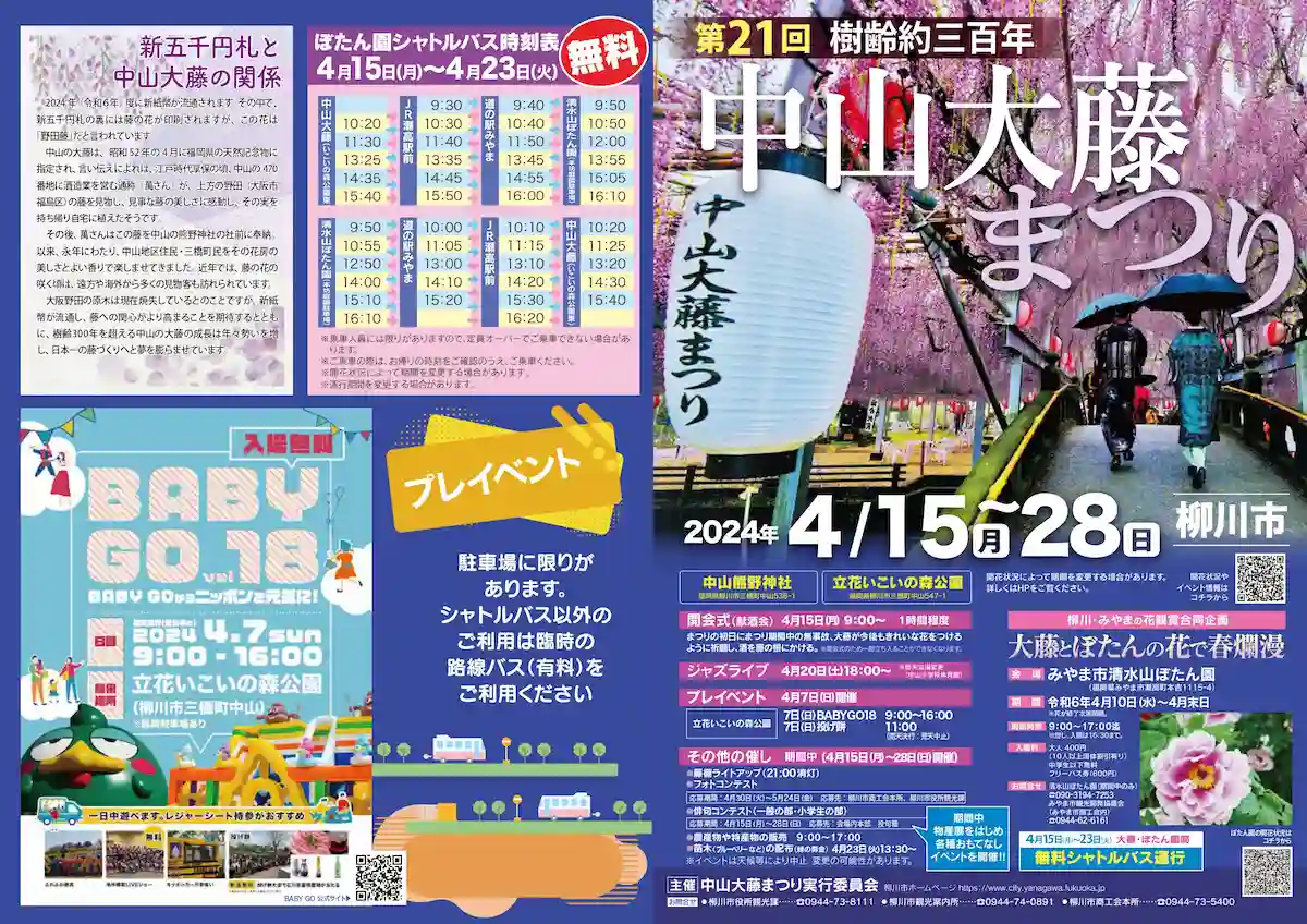 藤の香りに包まれる春のひととき4 15～27『中山大藤まつり』 清水山ぼたん園と結ぶシャトルバスも 柳川市・みやま市2025春の花 福岡・佐賀週末楽しむニュースマガジン ジモタイムズ・九州朝日放送