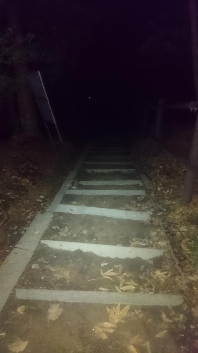 大文字送り火の「炭」をいただいてきました: 写真ブログ〜京都鴨川の鳥たちと神社・寺