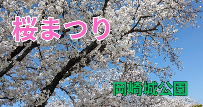 2025年 愛知・名古屋の「桜祭り」33選！グルメもイベントも楽しもうtabemaro たべまろ