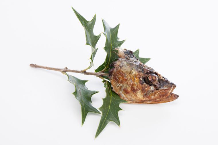 2月3日の節分に、いわしの頭を飾るのはどうして？子供とお出かけ情報「いこーよ」