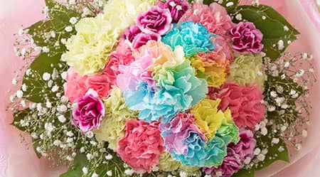 赤いカーネーション20本の花束 母の日に贈る花エーデルワイス 花の贈り物フラワーギフト通販 花宅配 水戸市