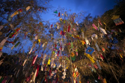 安倍晴明神社の五芒星が魅力的な理由