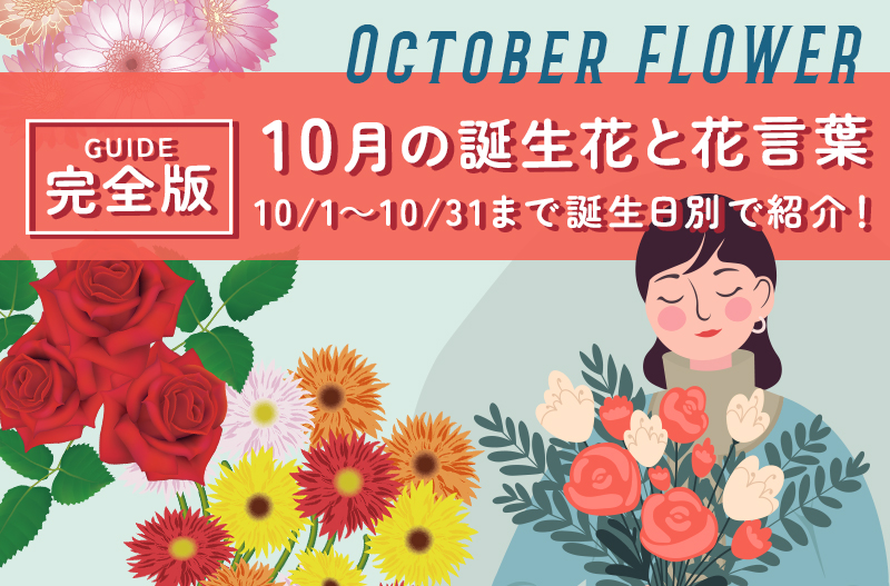Amazon１２ヶ月の誕生花ポストカード 「１０月 ガーベラ」花言葉絵葉書 バースデーカードポストカード・絵柄付はがき文房具・オフィス用品
