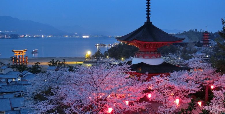 なぜ「厳島神社」は世界遺産？その理由を3行で分かりやすく解説！カメラと巡る日本の遺産