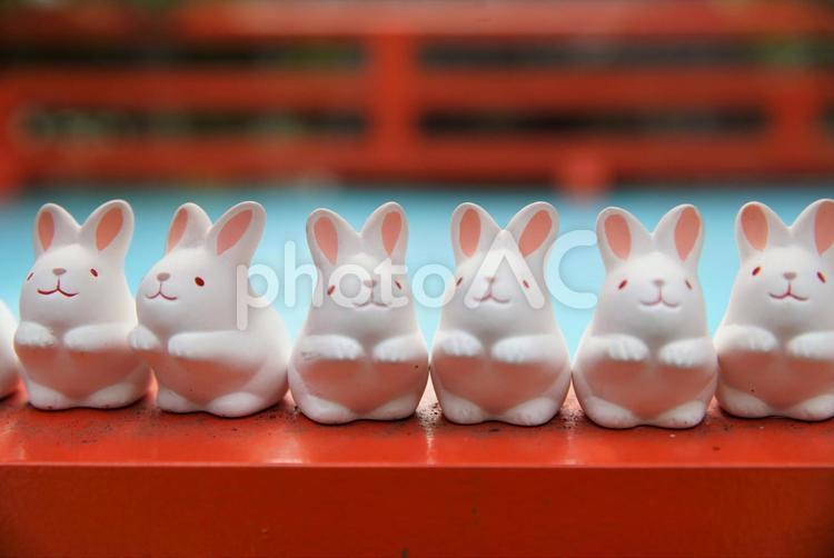 岡崎神社のうさぎ - No: 24272004写真素材なら「写真AC」無料 フリー ダウンロードOK