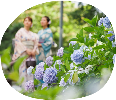 新潟市中央区 ド迫力の神輿に大興奮！『白山さまの夏まつり』が7月12日より開催♪涼し気な風鈴が彩る「七夕風鈴まつり」も楽しもう！ -地域情報サイト「ガタチラ」