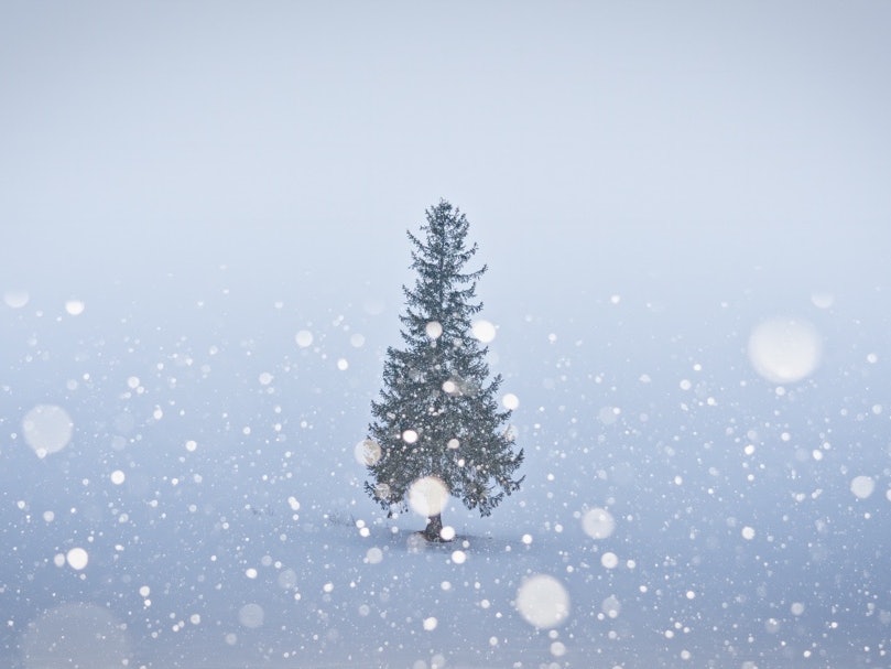 美瑛駅前で冬のイルミネーションを楽しみませんか クリスマスツリー *and trip. たびびと