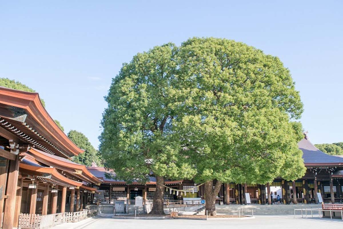江戸三大祭『山王祭』が開催中です! : 皇居外苑一般財団法人国民公園協会