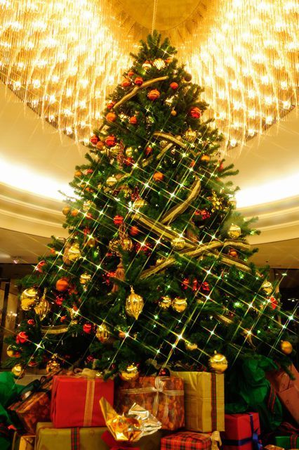 実食リポ ホテル椿山荘東京のクリスマスケーキ2023！王道「極 ガトー・オー・フレーズ」、ドレスの様な「クリスマス モンブラン」テイクアウト用ミニケーキも│193go.jp いくみごードットジェイピー