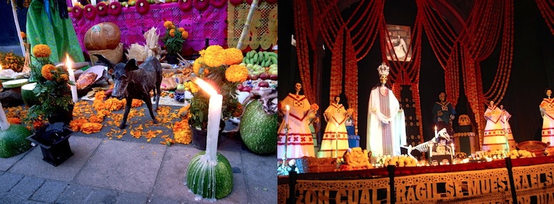 メキシコのお盆「死者の日」とは？～Yu Larraz メキシコ在住ライター留学プレス PRESS 海外大学 大学院・中学 高校、語学学校の留学情報サイト