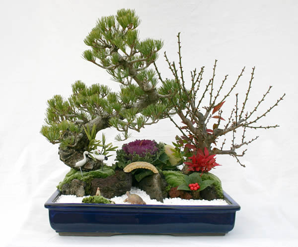 お正月寄せ植えのインテリア実例RoomClip ルームクリップ