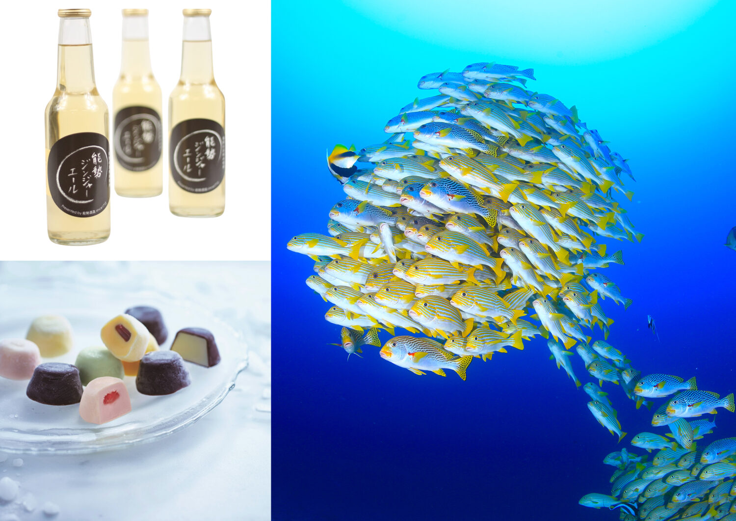 でるでる川西P-WORLD