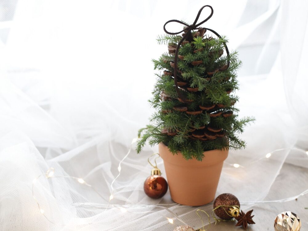 落ちている松ぼっくりで簡単！ クリスマスツリーとオーナメント - ウェザーニュース