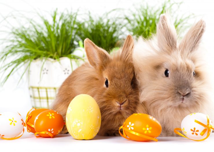 壁面飾り イースターエッグの作り方LondonShop