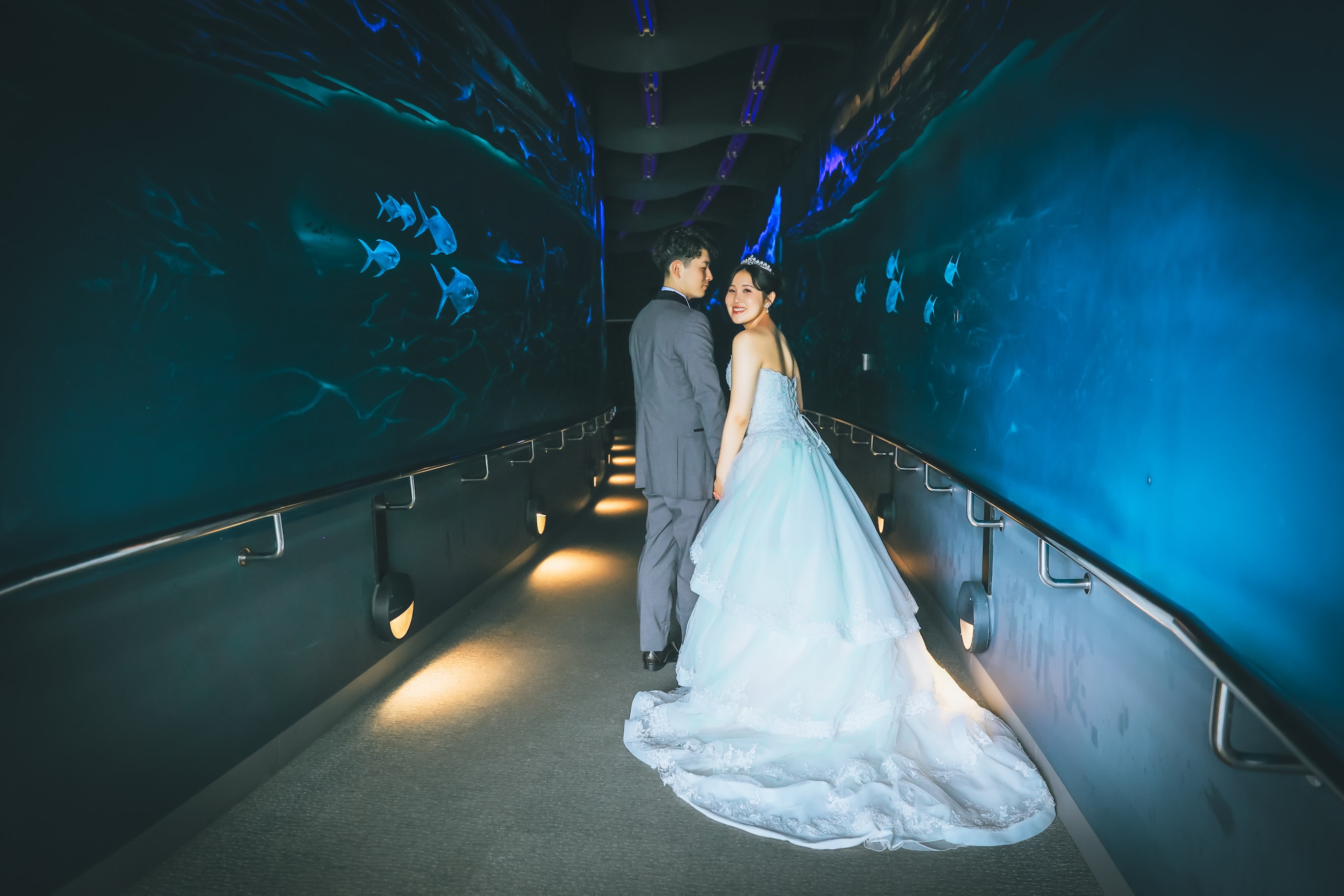 マリンワールド海の中道水族館 - 結婚が決まったらピュアナビ PURE-NAVI