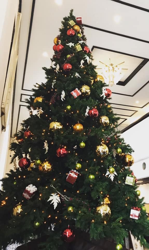 星の王子さまミュージアム 箱根サン=テグジュペリ イルミネーション 神奈川クリスマスイルミネーション人気スポット2009-じゃらんnet