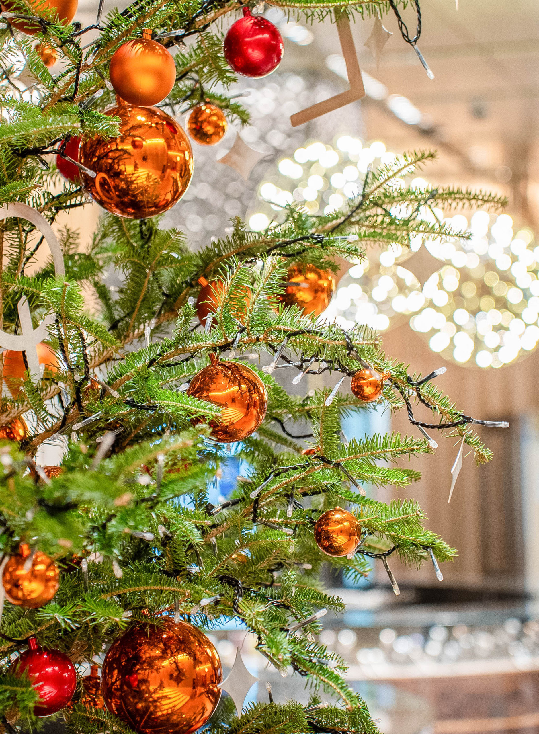 店舗 クリスマスディスプレイのおしゃれなアレンジ・飾り方のインテリア実例RoomClip ルームクリップ