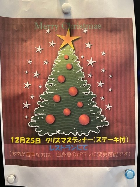 クリスマスフォトアルバム ホリデースクラップブック 彼女へのギフト ゴールドホイルクリスマスファミリーフォトアルバム パーソナライズされたホリデー フォトアルバム - Etsy 日本