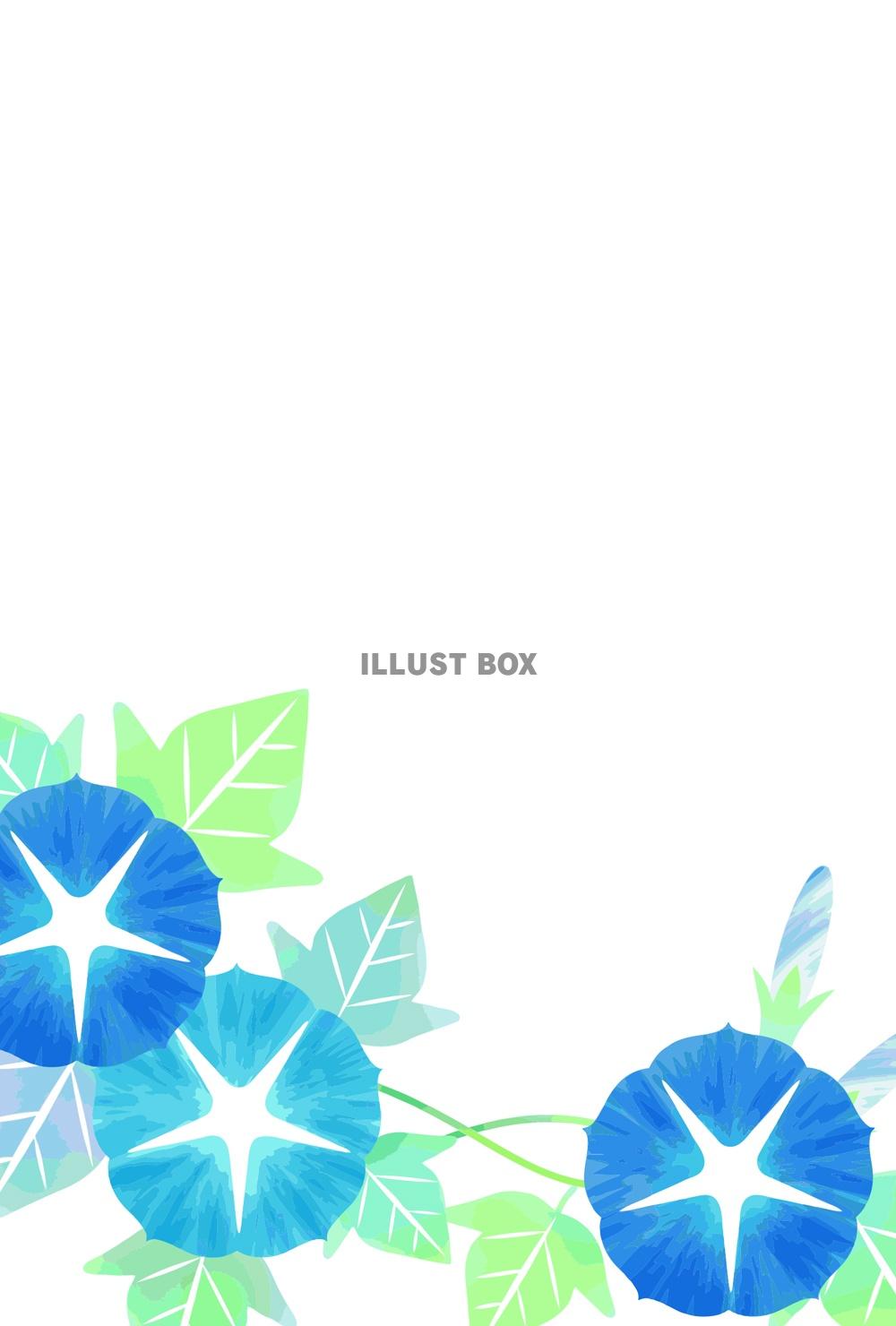 暑中見舞い はがき 和風 イラスト 夏 和紙 お中元 お礼 御礼状 花きらら ６枚入り 挨拶状 送料無料 四季 花 出産 結婚 内祝い お礼状 ハガキ葉書 ポストカード 絵葉書 朝顔 露草 桔梗 ひまわり 花火 金魚 福井朝日堂 京都F. A