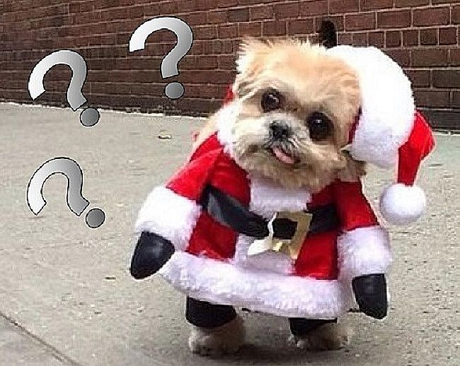 クリスマス」の由来とは？ イブの意味やツリーの飾り、チキンを食べる理由などるるぶKids