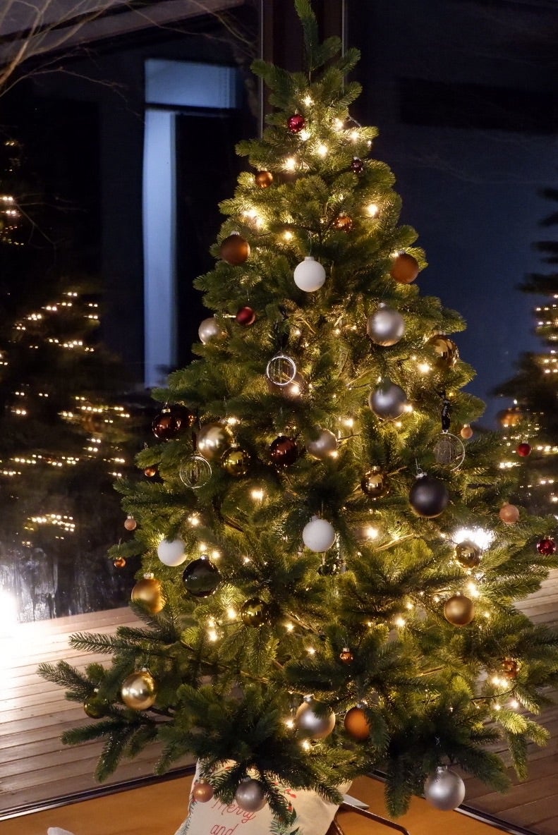 東京・関東のおすすめイルミネーション2024-2025楽天トラベル