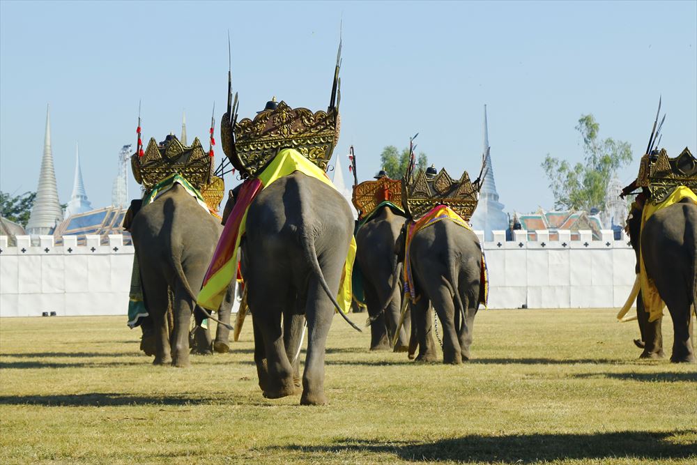 タイで行われる主な年間イベント公式 タイ国政府観光庁
