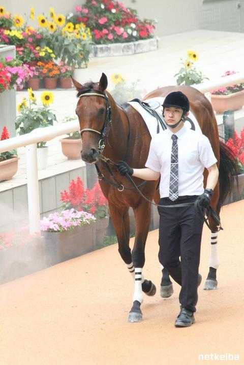 ジョワイユノエルレタリングPremiumベクトル素材