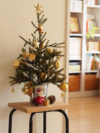 ツリー、おうちに何台ある？ ディズニーデザイン クリスマスツリーホームズとワトソンの探究日記