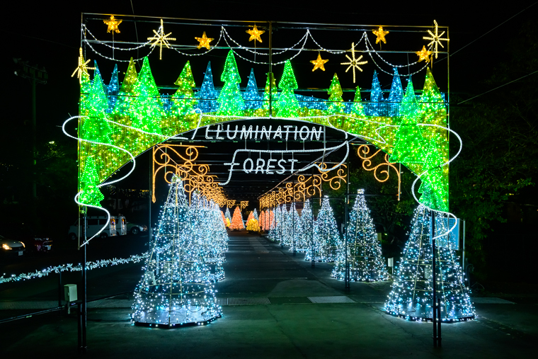 箱根には色々なクリスマスツリーが飾られています箱根町観光協会公式サイト 温泉・旅館・ホテル・観光情報満載